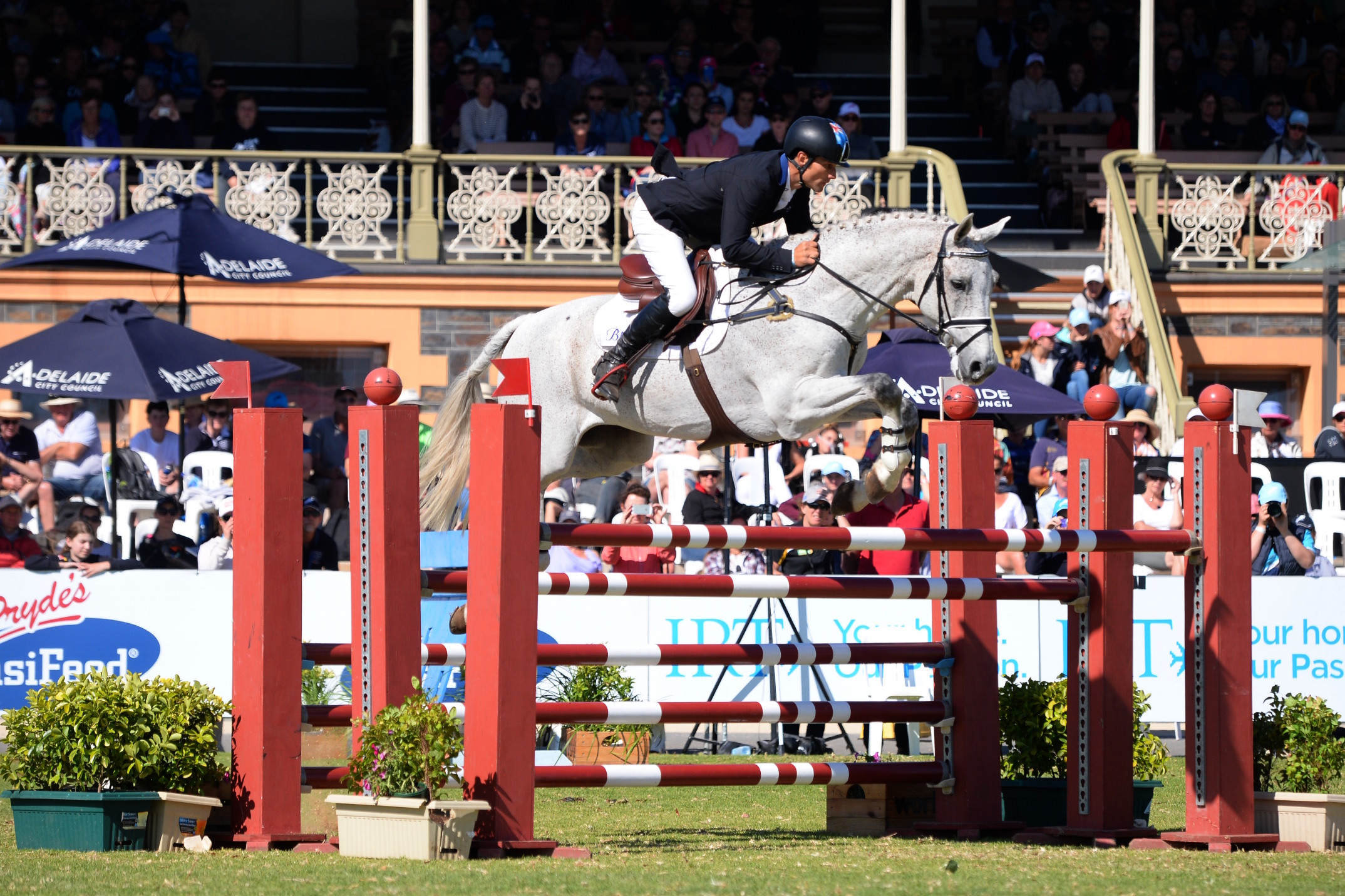 FEI Classics Eventing series The 2016 Australian International 3 Days